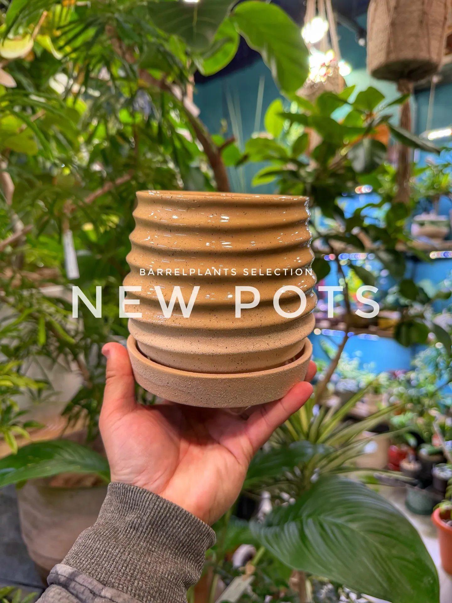 「色と質感を愉しむ、バーレルプランツの新作ポット。