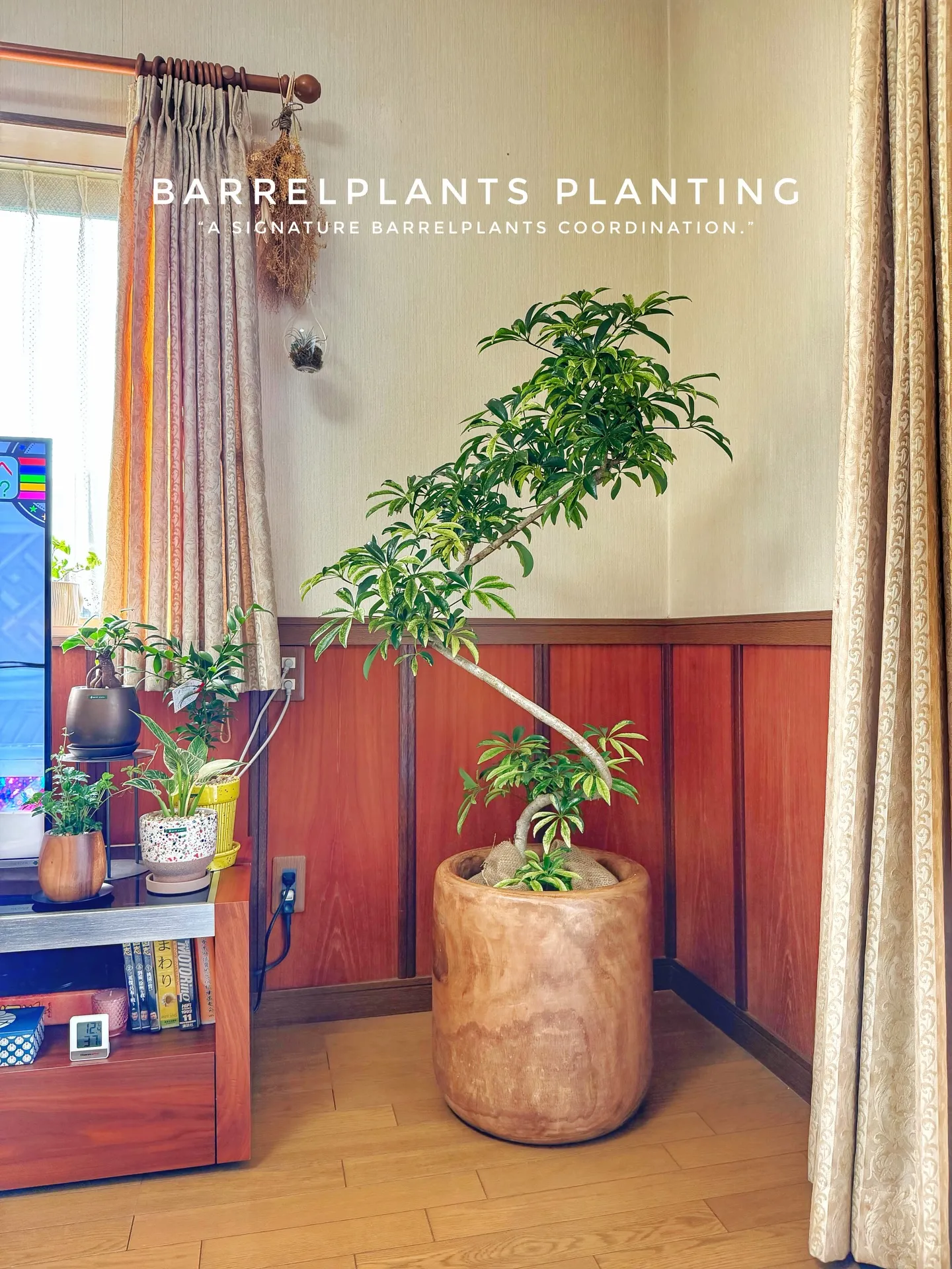 「暮らしに馴染む、Barrelplantsのグリーンコーディ...