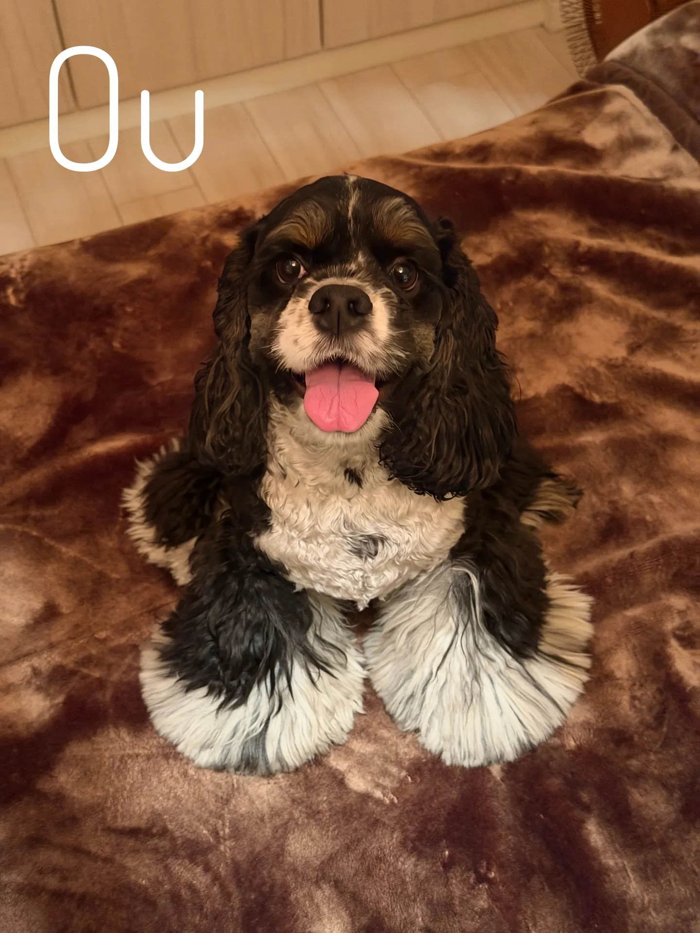 「暮らしに馴染む、Barrelplantsのグリーンコーディ...