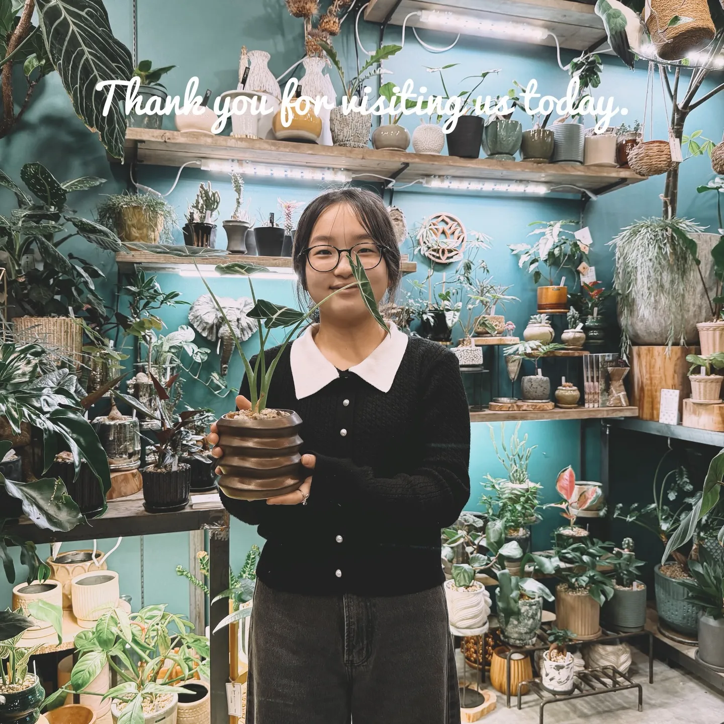 「今日の追加、ちょっと特別です。