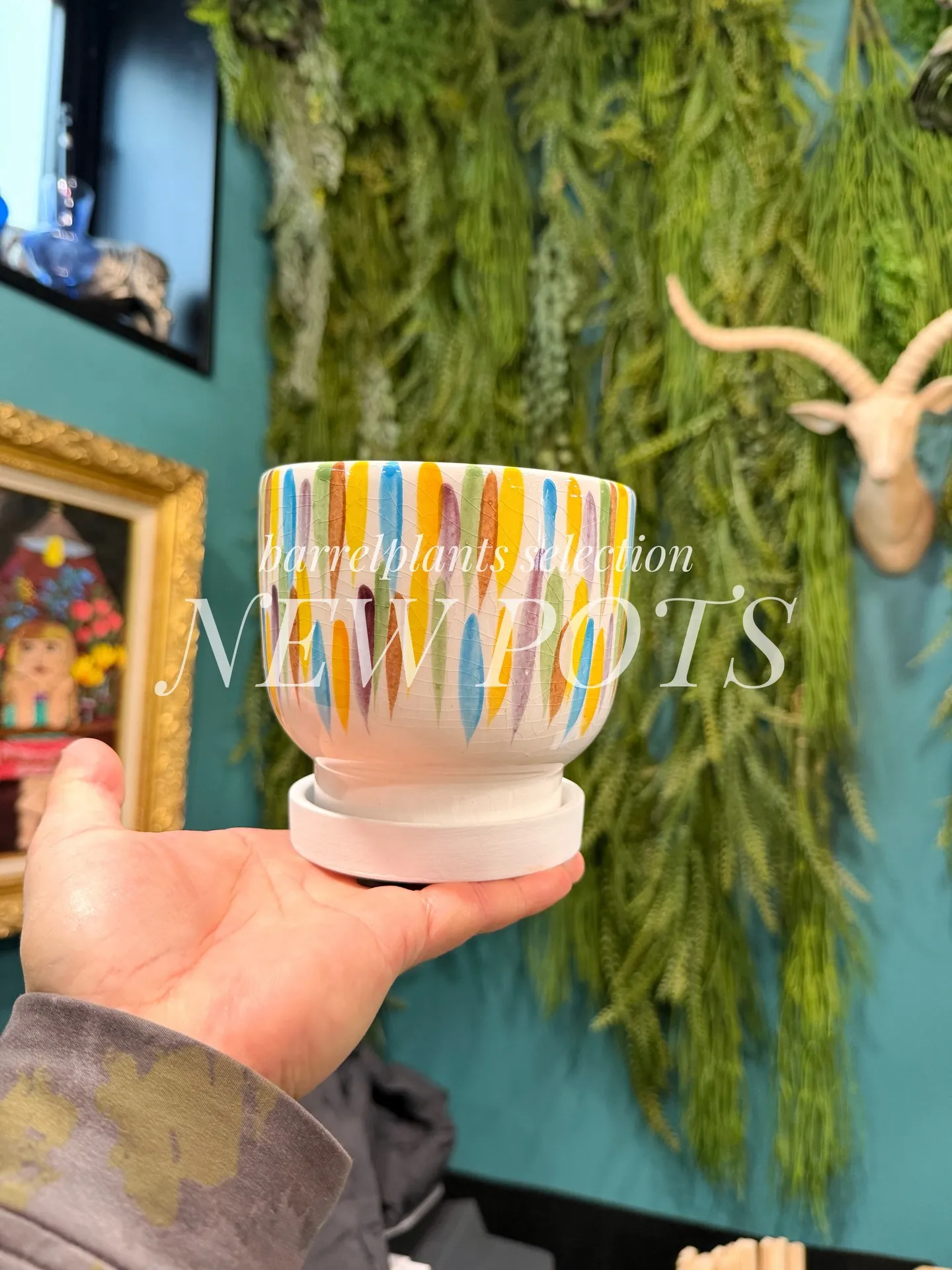 「こだわりの植物に惹かれて、今日もお客様との嬉しい出会いが続...