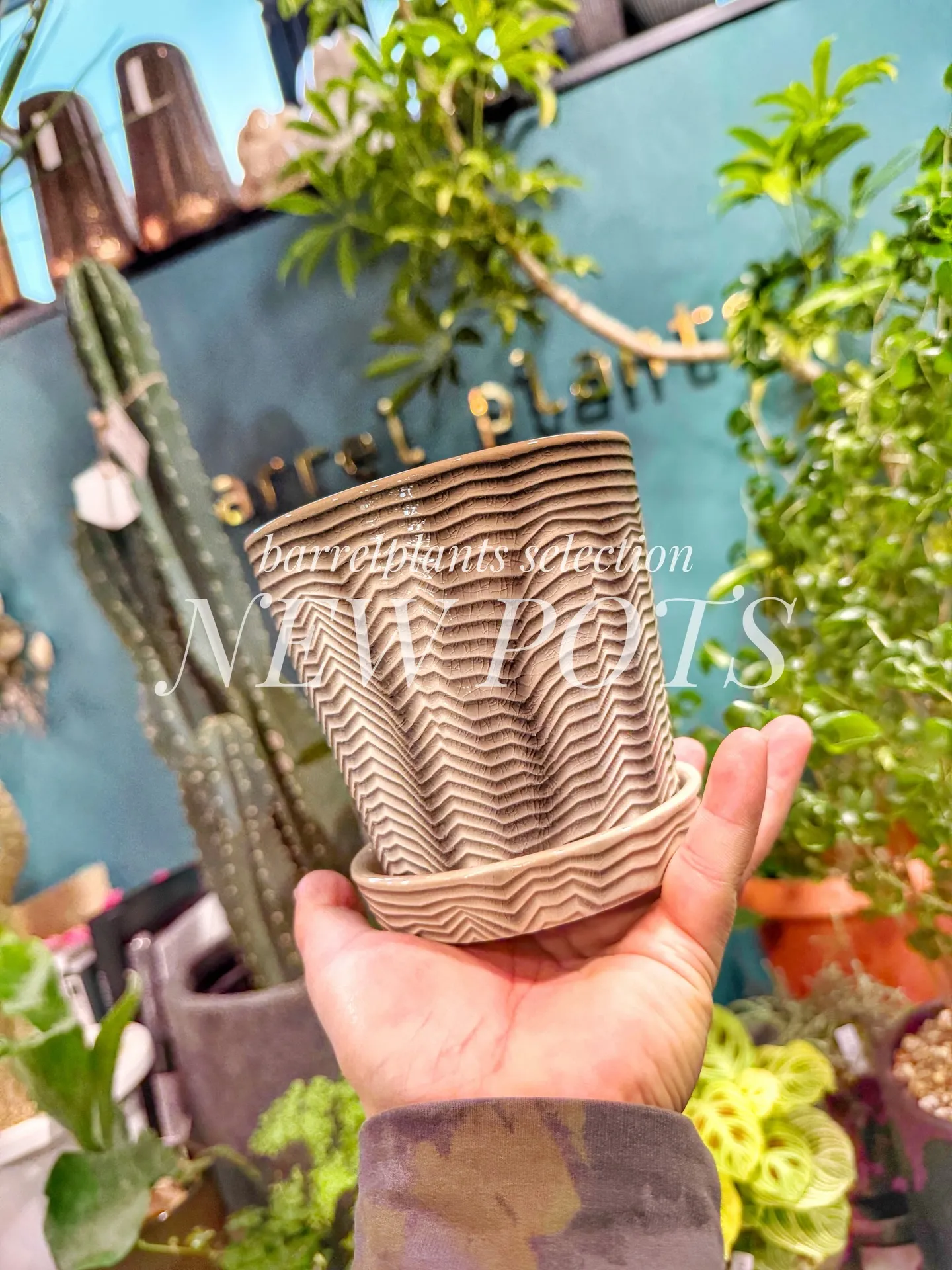 「こだわりの植物に惹かれて、今日もお客様との嬉しい出会いが続...