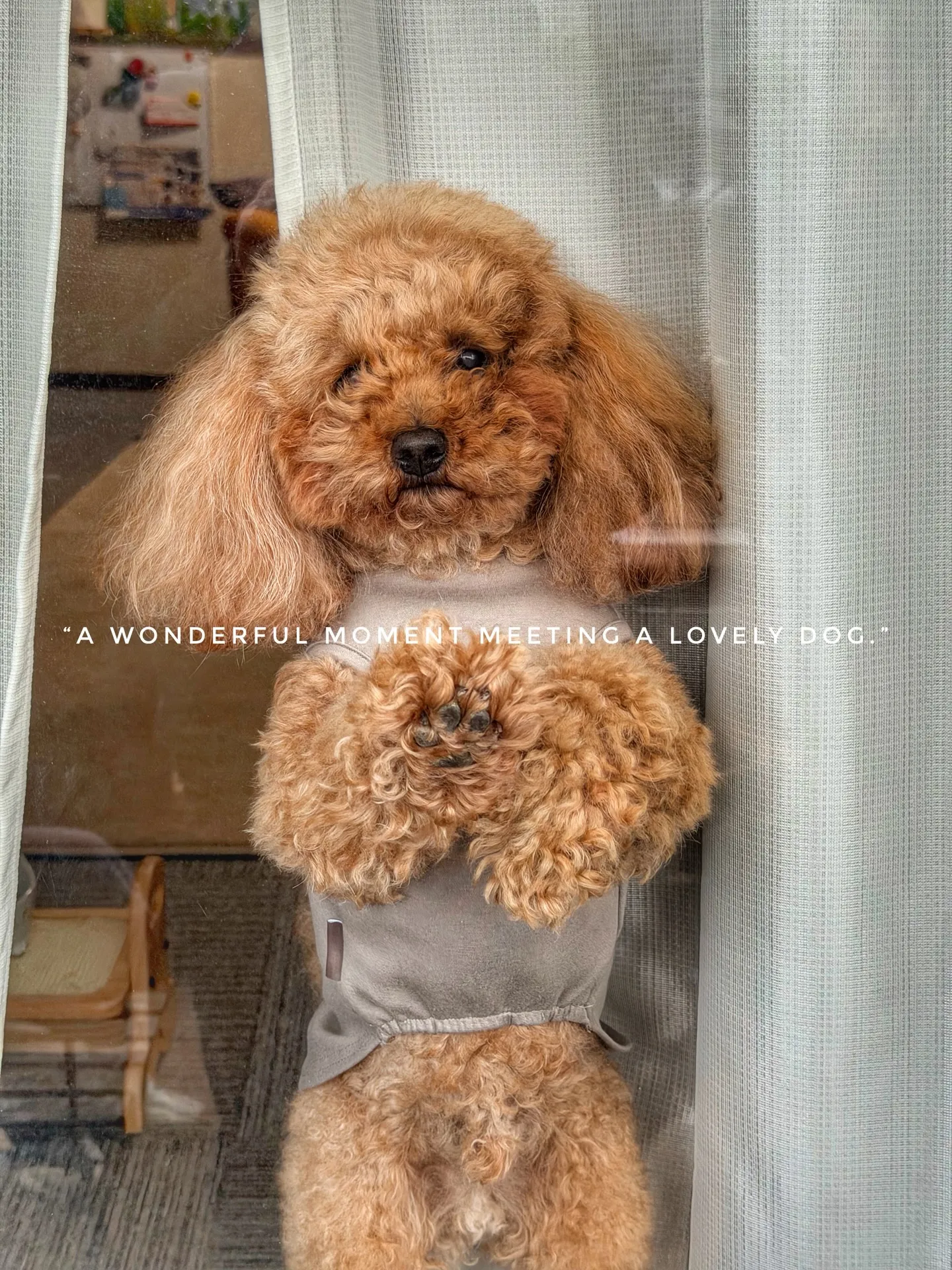 「こだわりの植物に惹かれて、今日もお客様との嬉しい出会いが続...