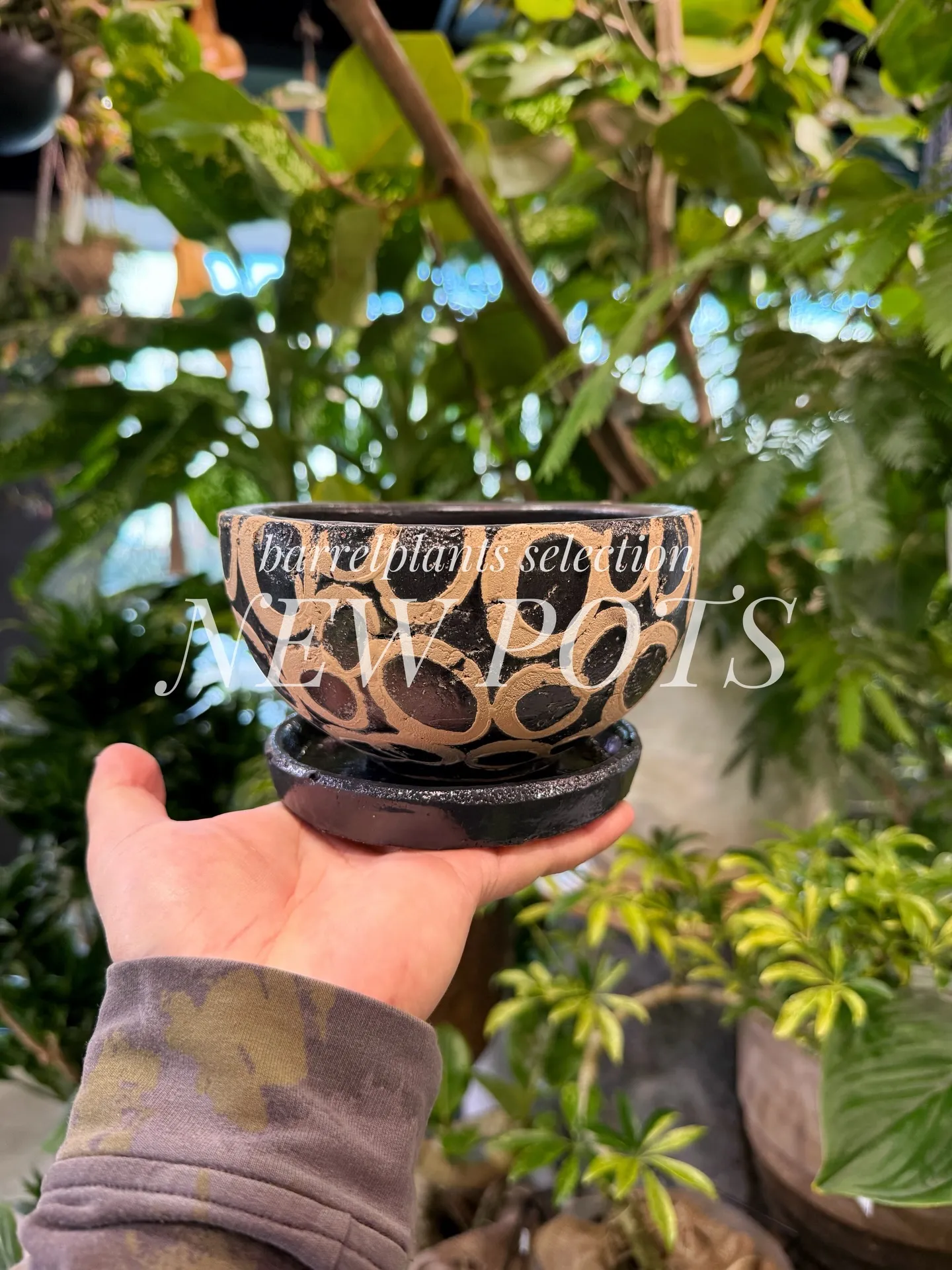 「こだわりの植物に惹かれて、今日もお客様との嬉しい出会いが続...