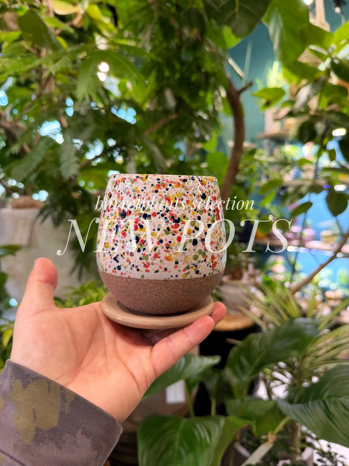 「こだわりの植物に惹かれて、今日もお客様との嬉しい出会いが続...