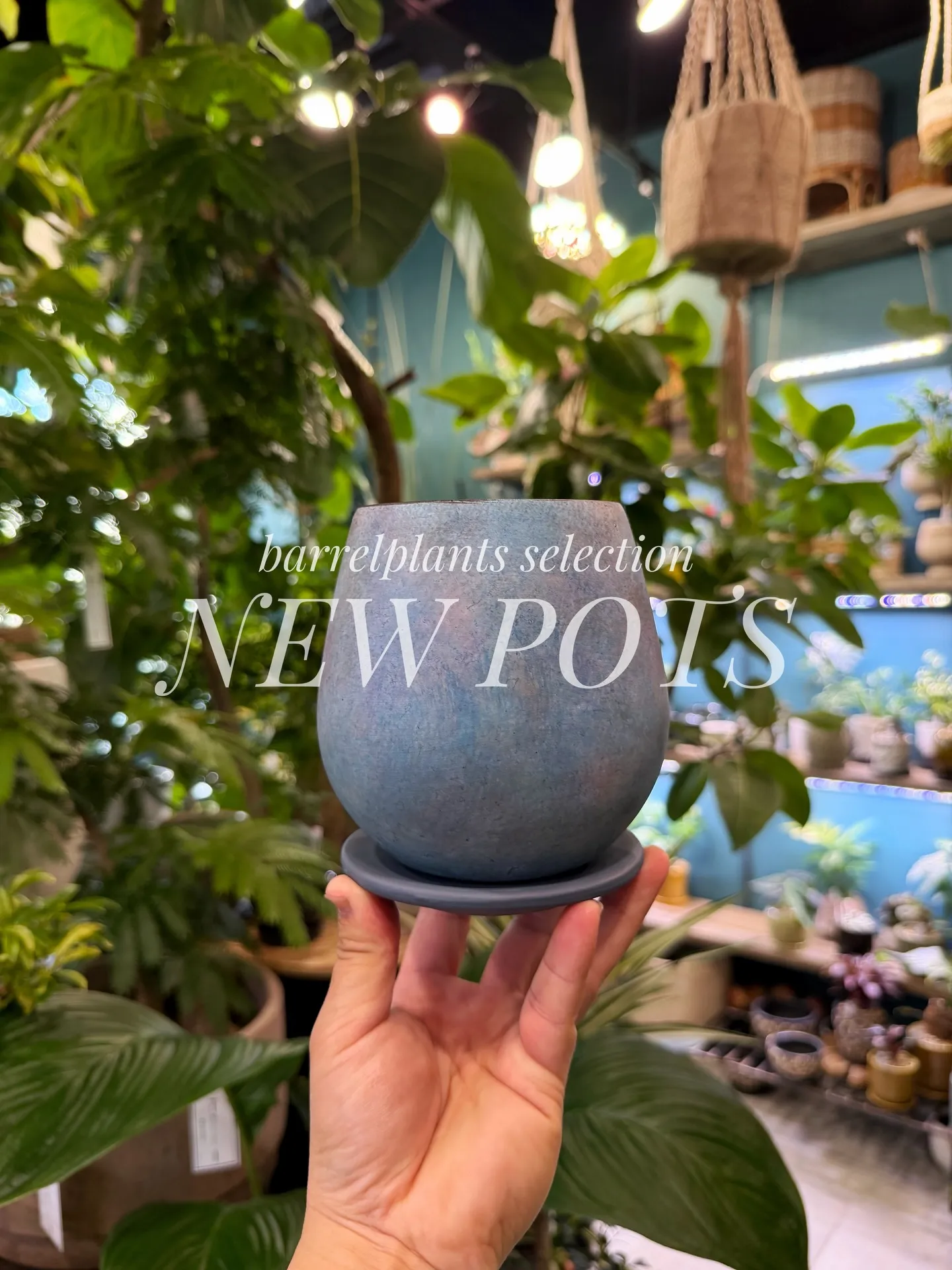 「こだわりの植物に惹かれて、今日もお客様との嬉しい出会いが続...