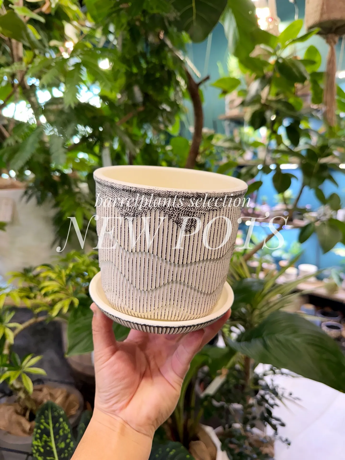 「こだわりの植物に惹かれて、今日もお客様との嬉しい出会いが続...