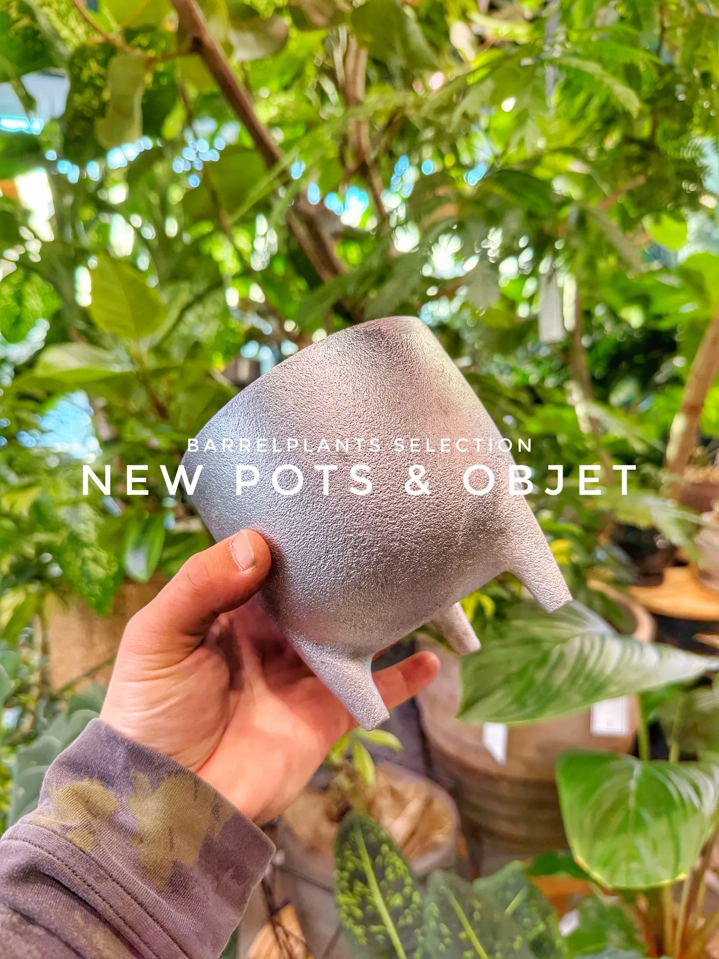 「NEW POTS & OBJET — バーレルプランツに個...