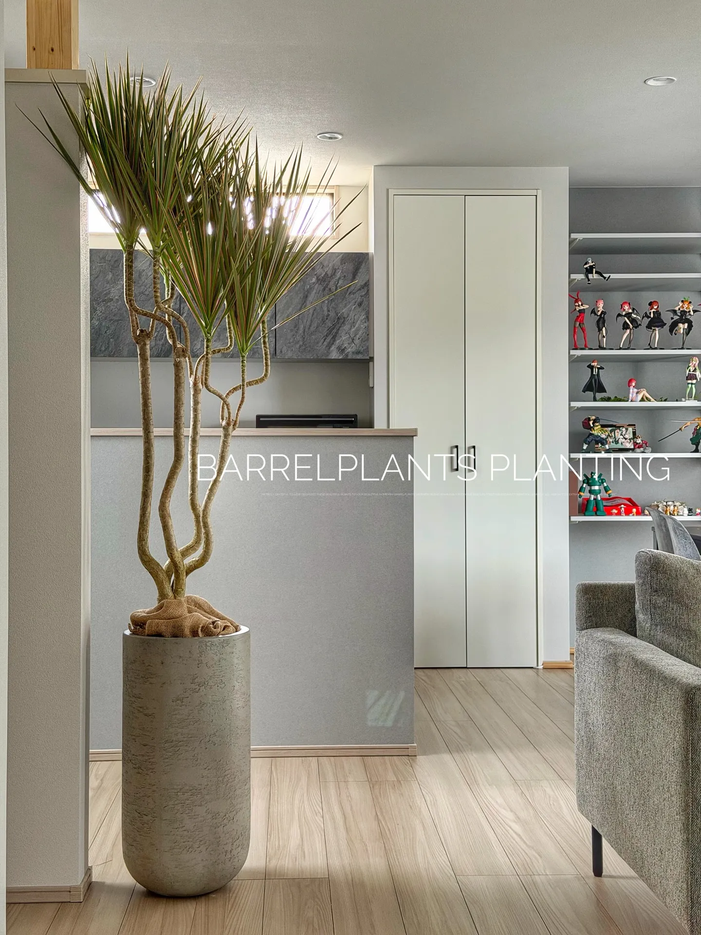 「空間を引き立てる、こだわりの植物コーディネート。