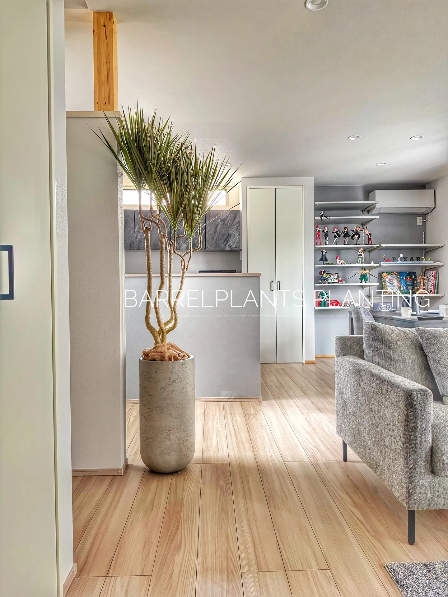 「空間を引き立てる、こだわりの植物コーディネート。