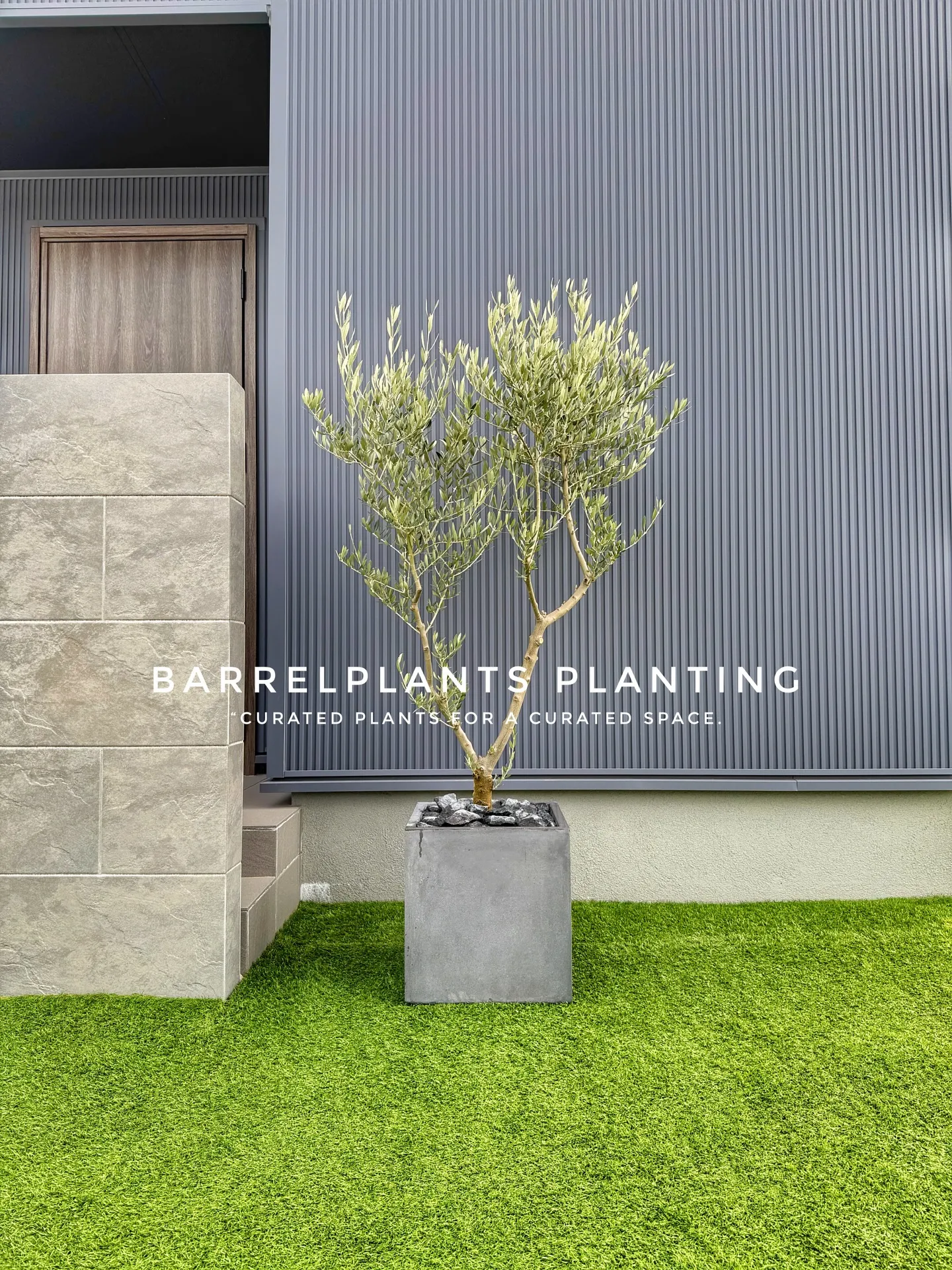 「空間を引き立てる、こだわりの植物コーディネート。