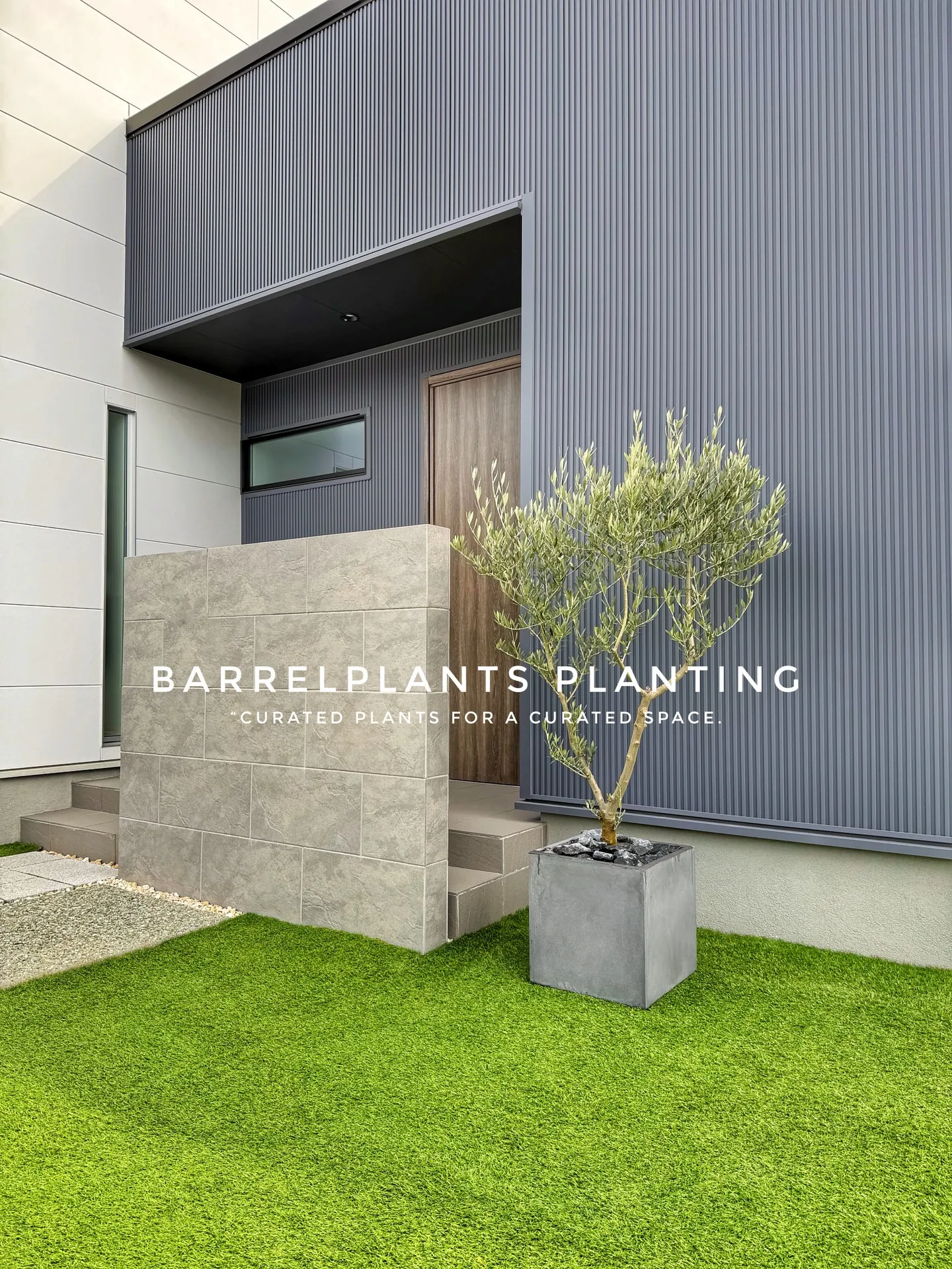 「空間を引き立てる、こだわりの植物コーディネート。