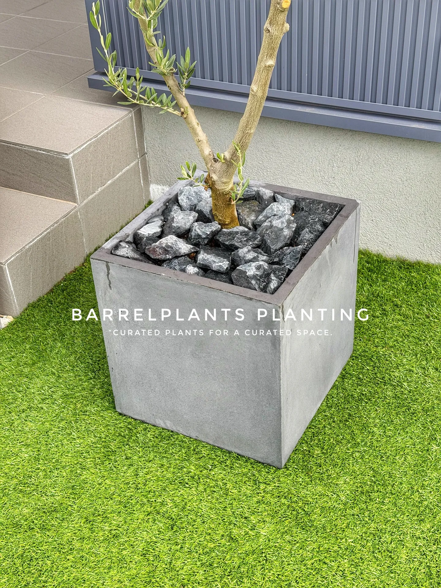 「空間を引き立てる、こだわりの植物コーディネート。