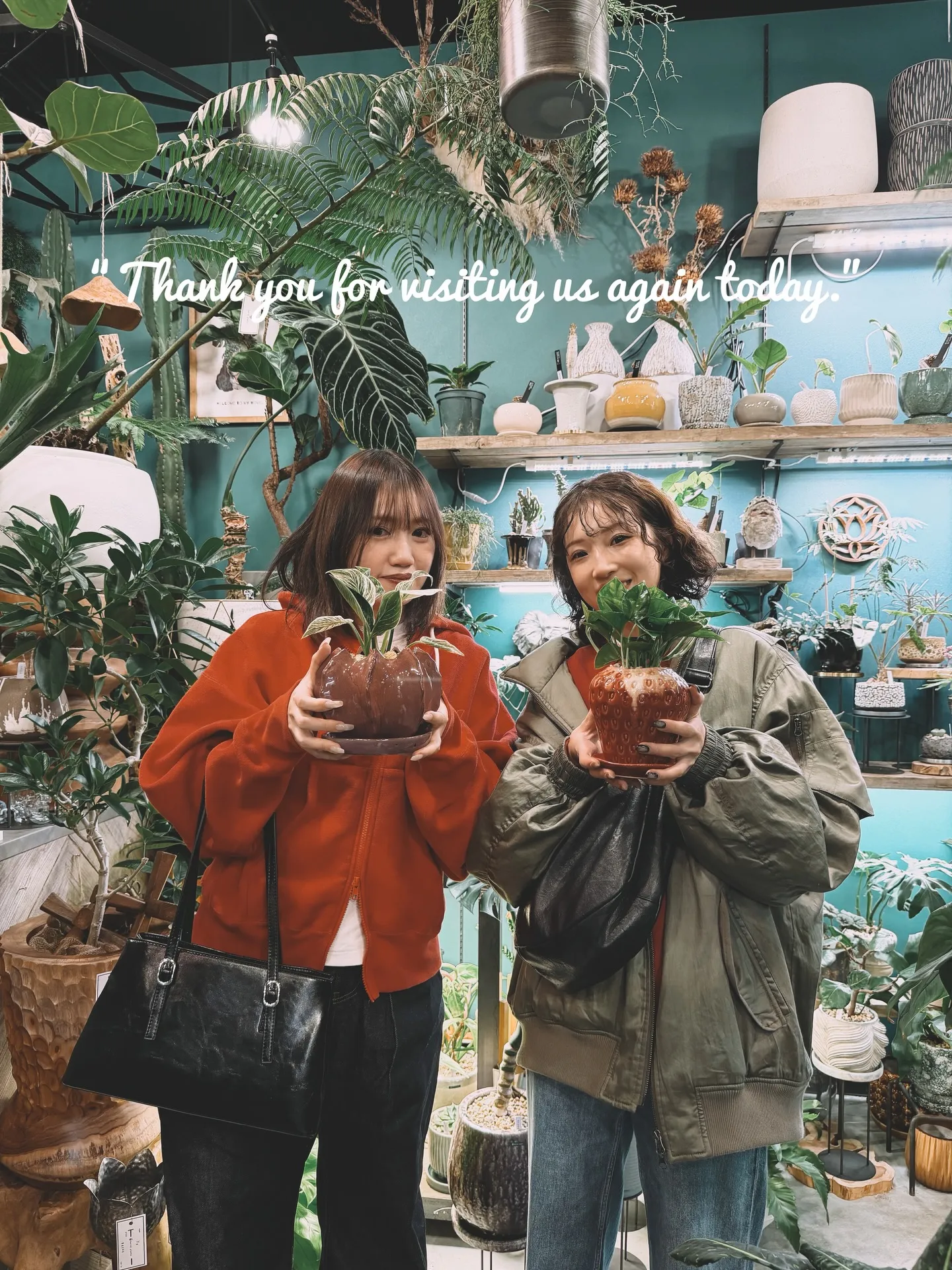 「空間を引き立てる、こだわりの植物コーディネート。