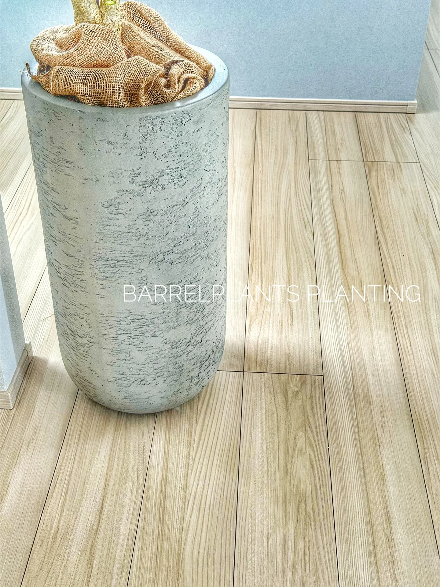 「空間を引き立てる、こだわりの植物コーディネート。