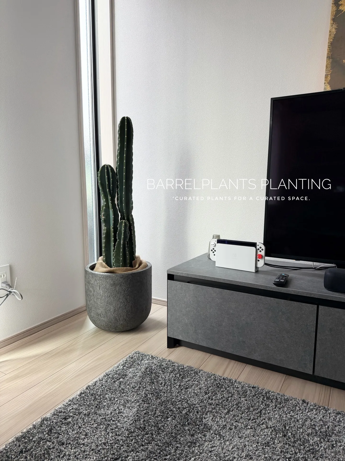 「空間を引き立てる、こだわりの植物コーディネート。