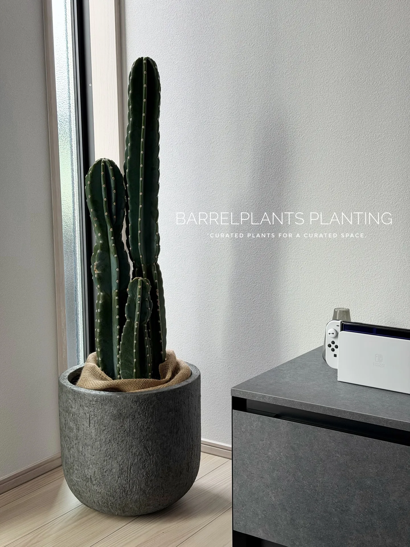 「空間を引き立てる、こだわりの植物コーディネート。