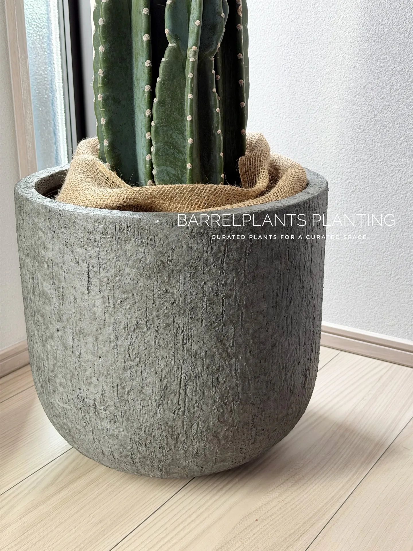 「空間を引き立てる、こだわりの植物コーディネート。