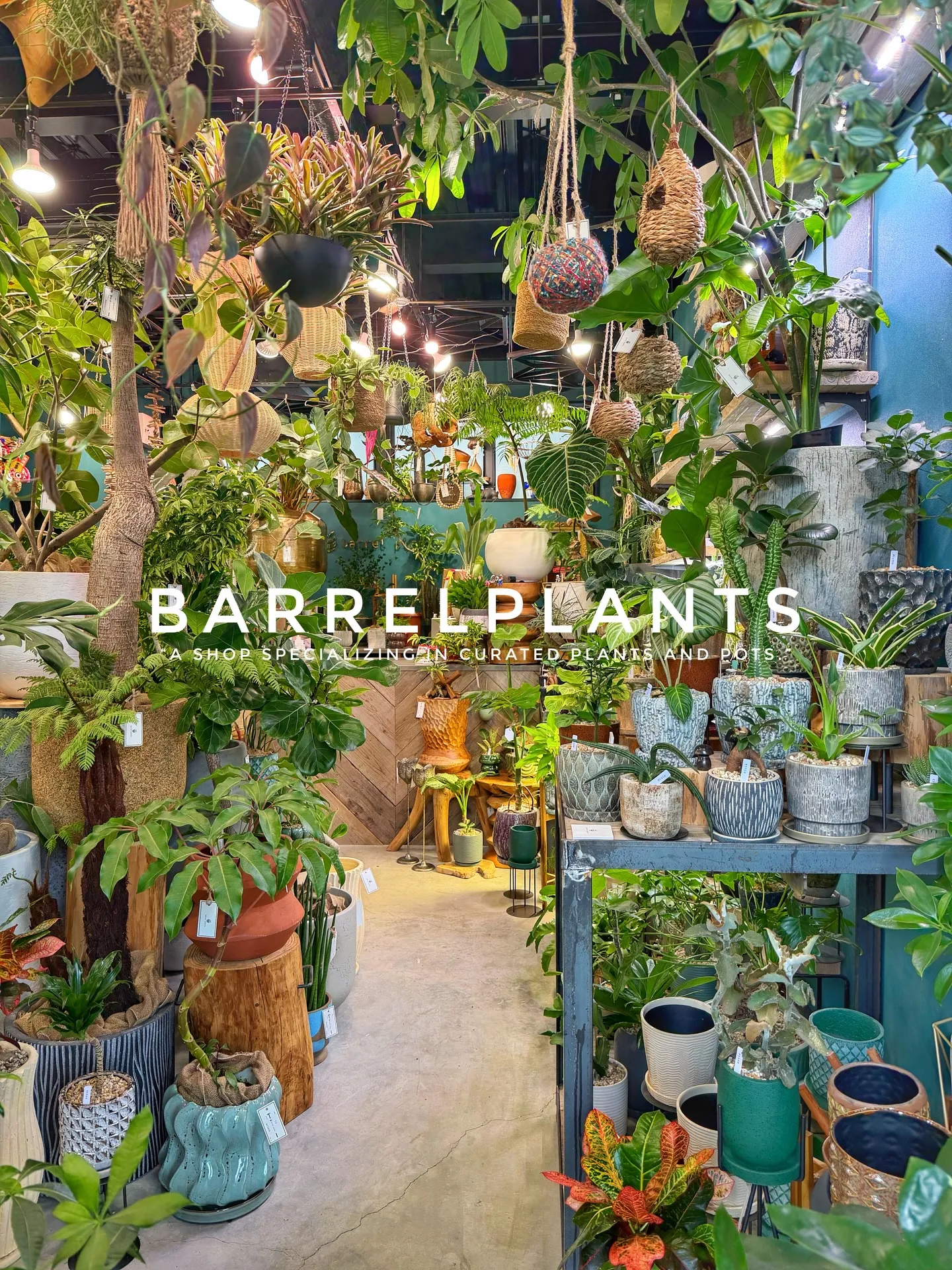 「店内をアップデート。