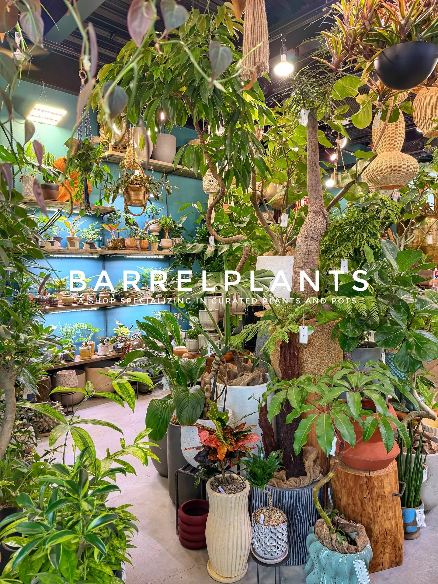 「店内をアップデート。