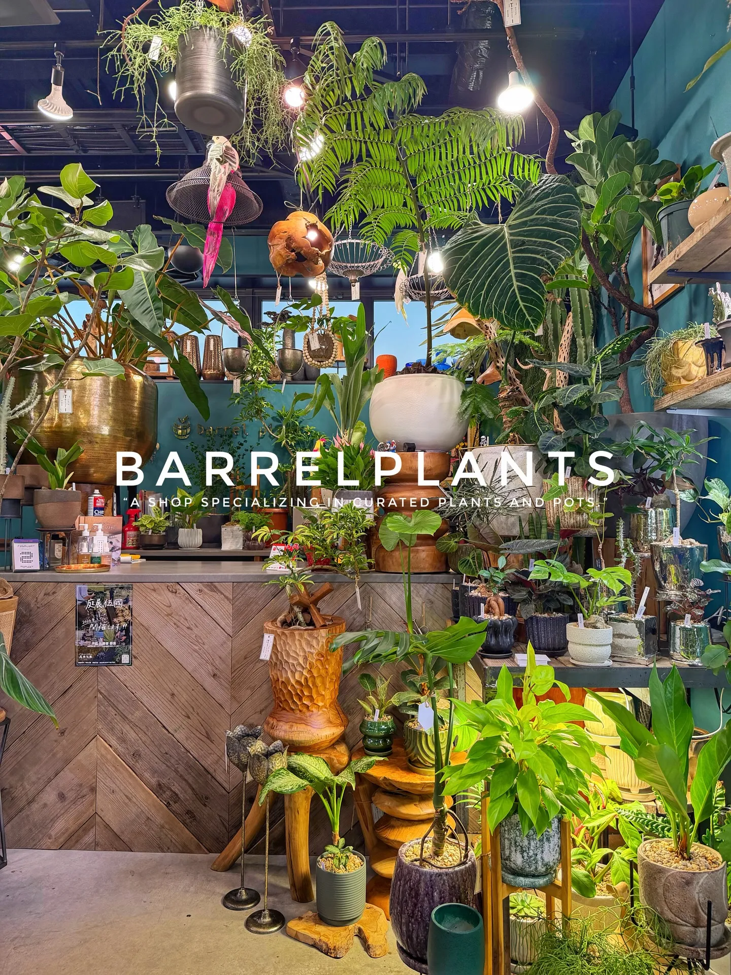 「店内をアップデート。