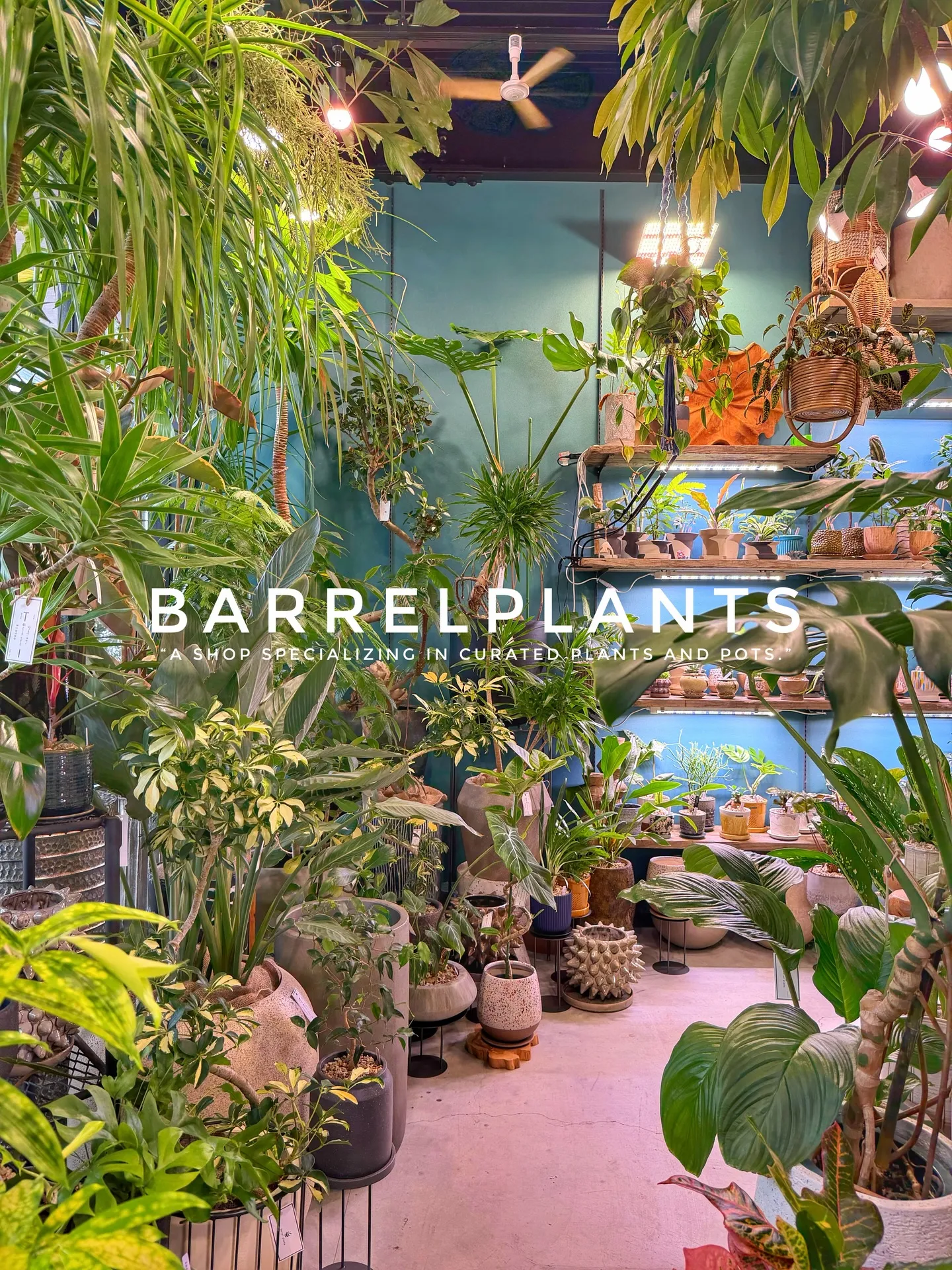 「店内をアップデート。