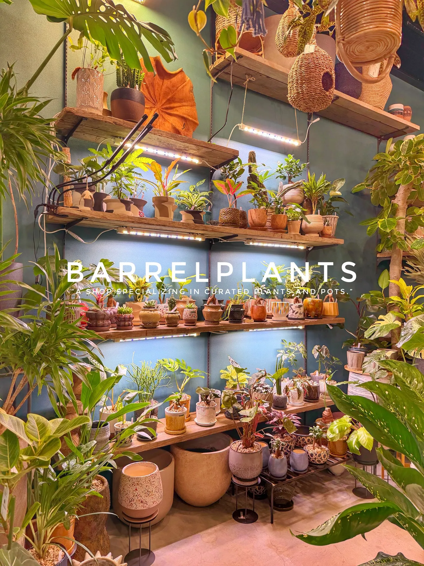 「店内をアップデート。