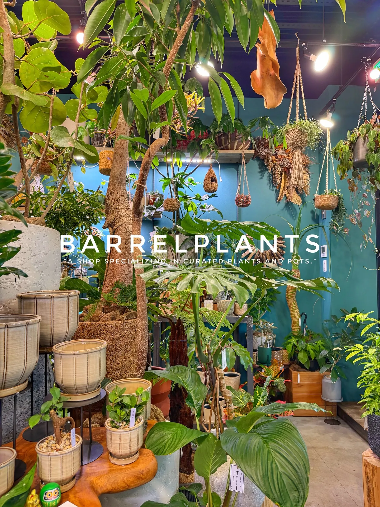 「店内をアップデート。