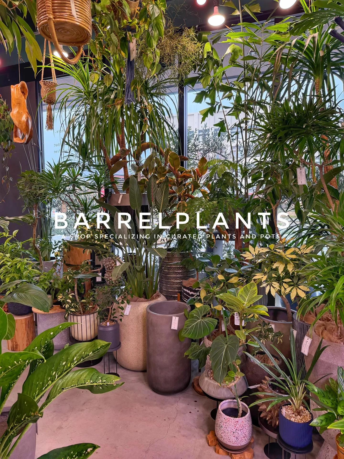 「店内をアップデート。