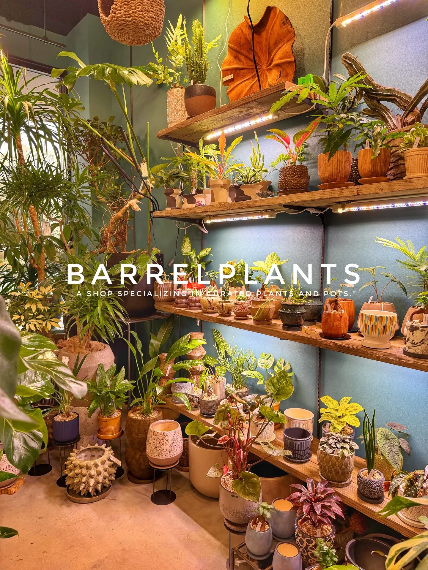 「店内をアップデート。