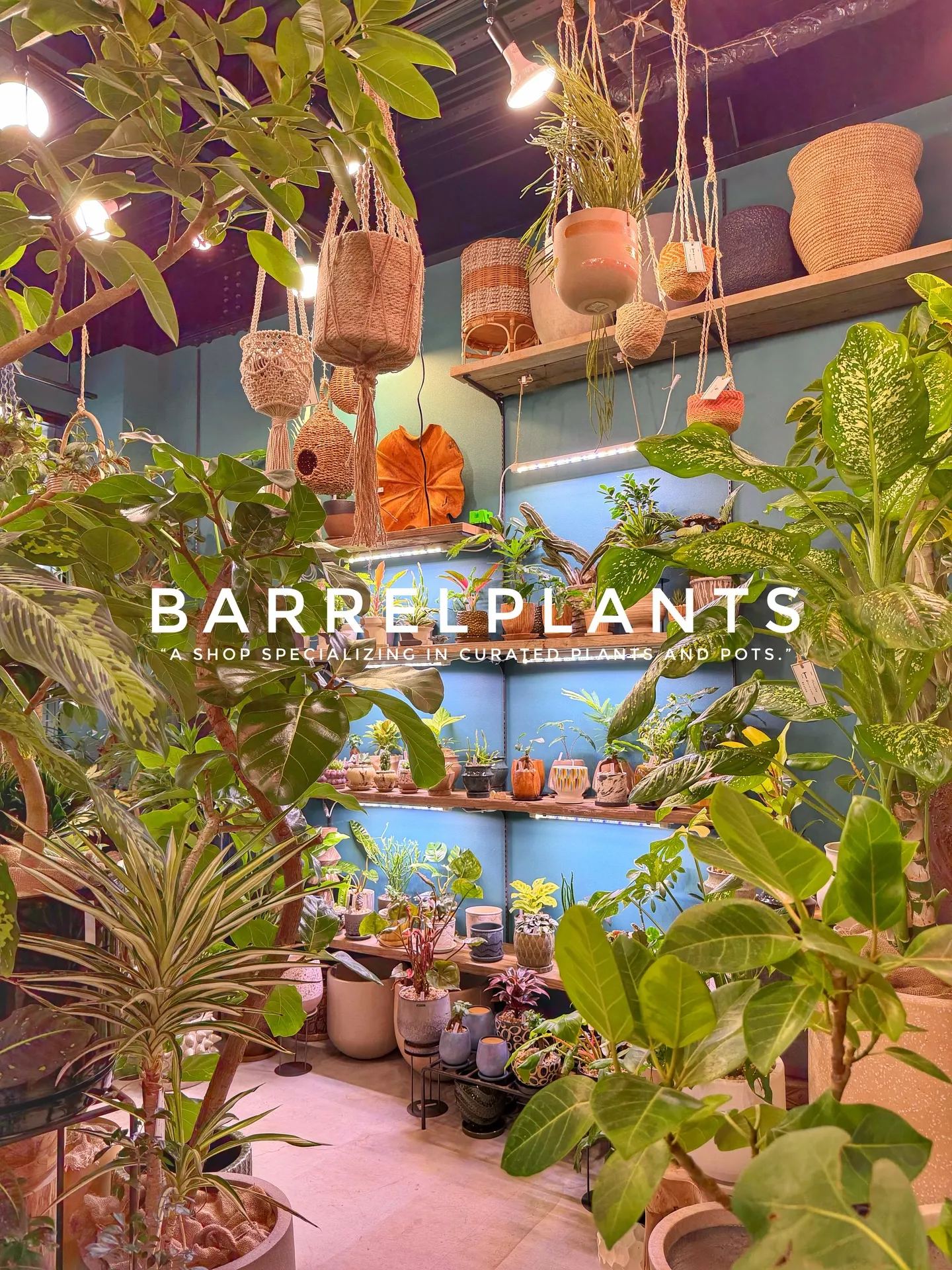 「店内をアップデート。