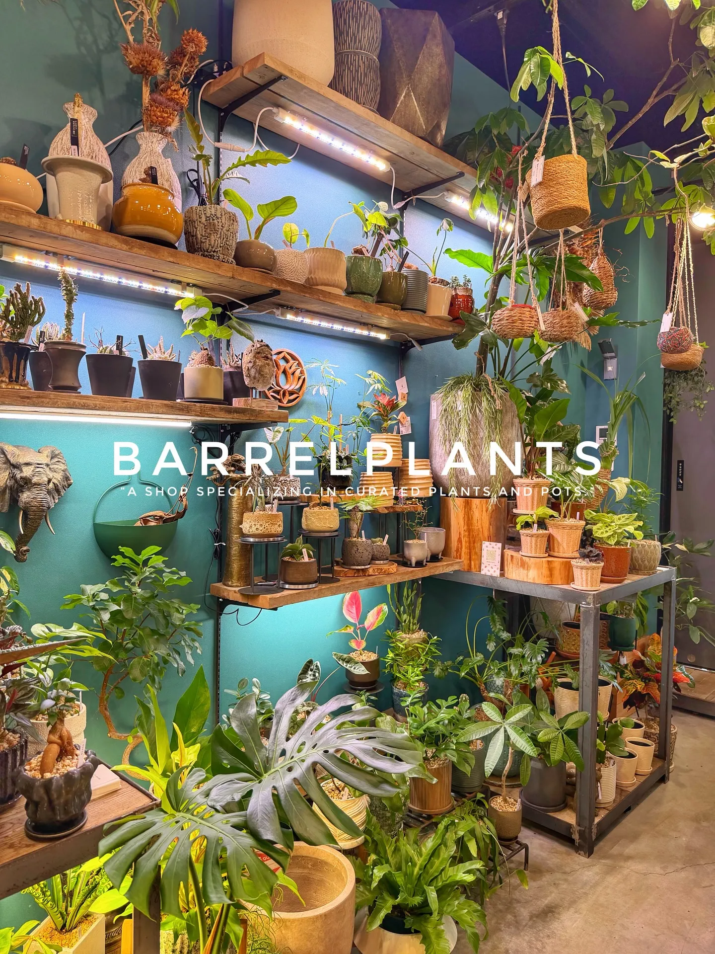 「店内をアップデート。