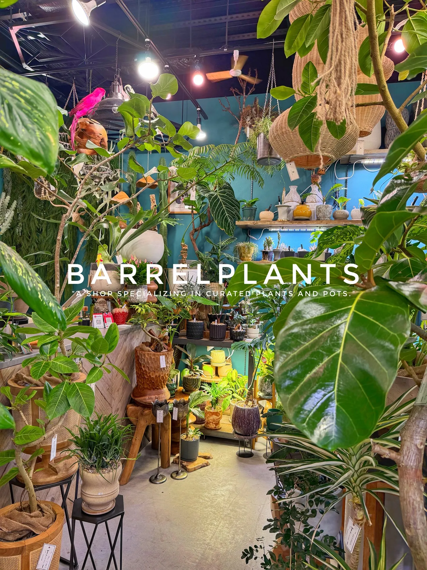 「店内をアップデート。