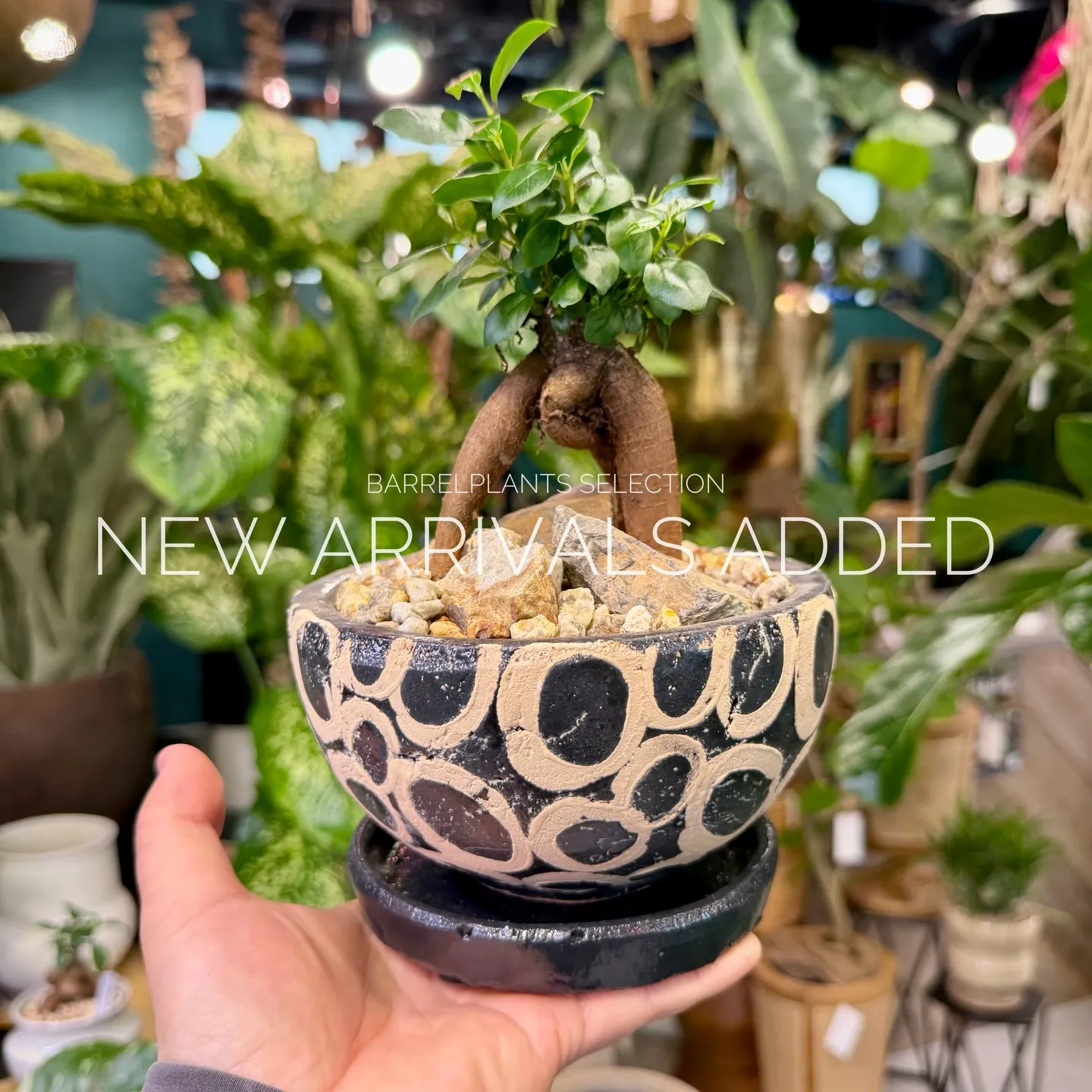 【本日も新作アイテム、続々追加中。