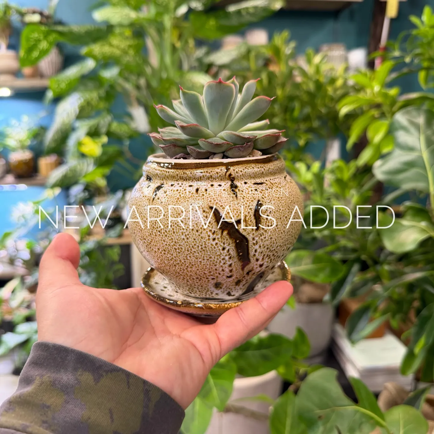 【本日も新作アイテム、続々追加中。