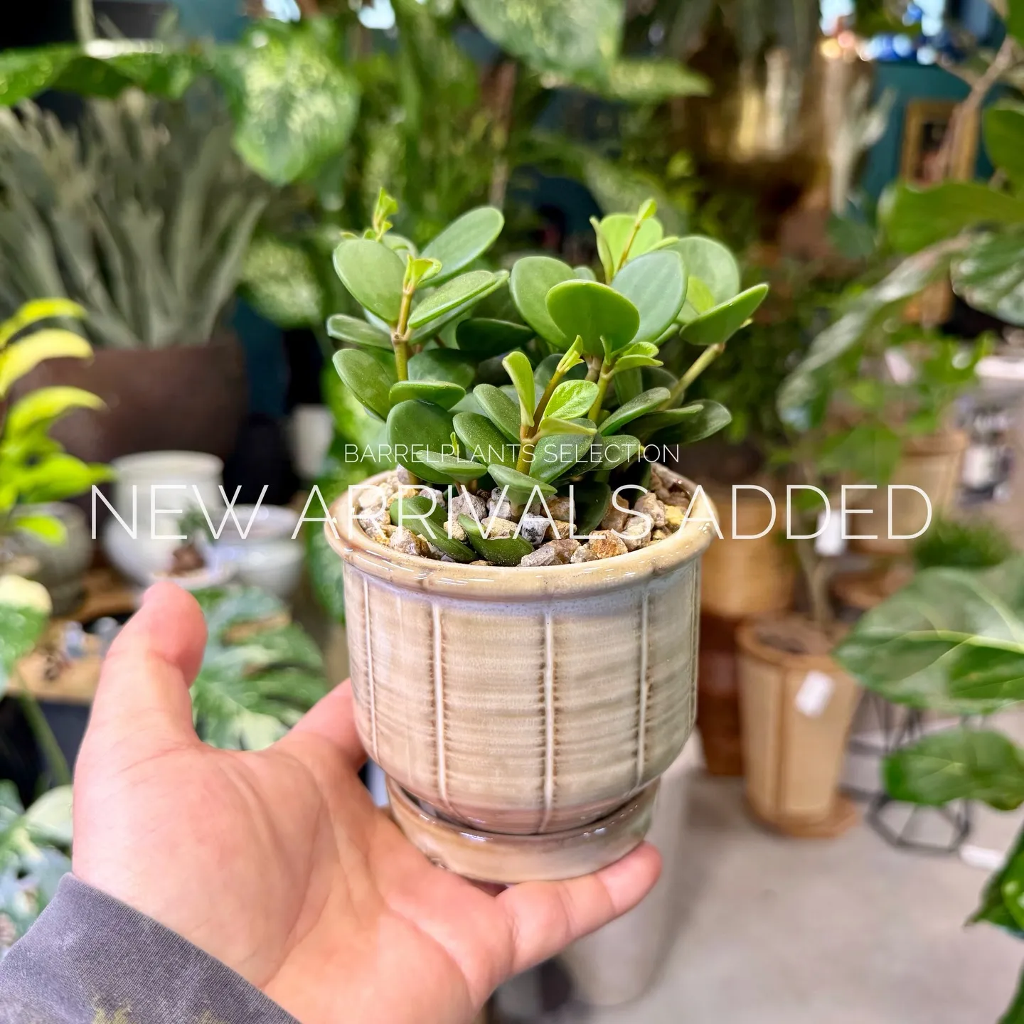 【本日も新作アイテム、続々追加中。