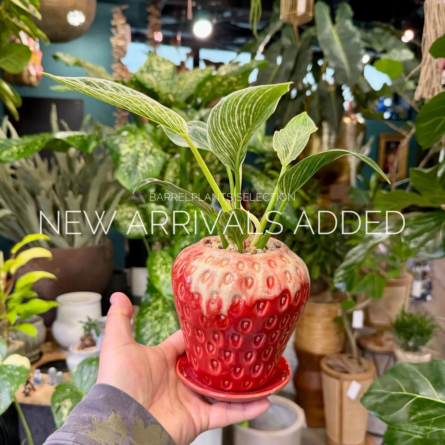 【本日も新作アイテム、続々追加中。