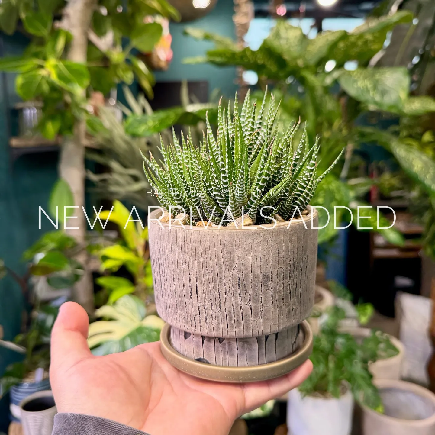 【本日も新作アイテム、続々追加中。