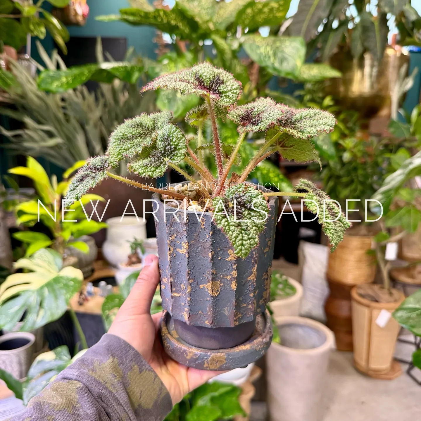 【本日も新作アイテム、続々追加中。