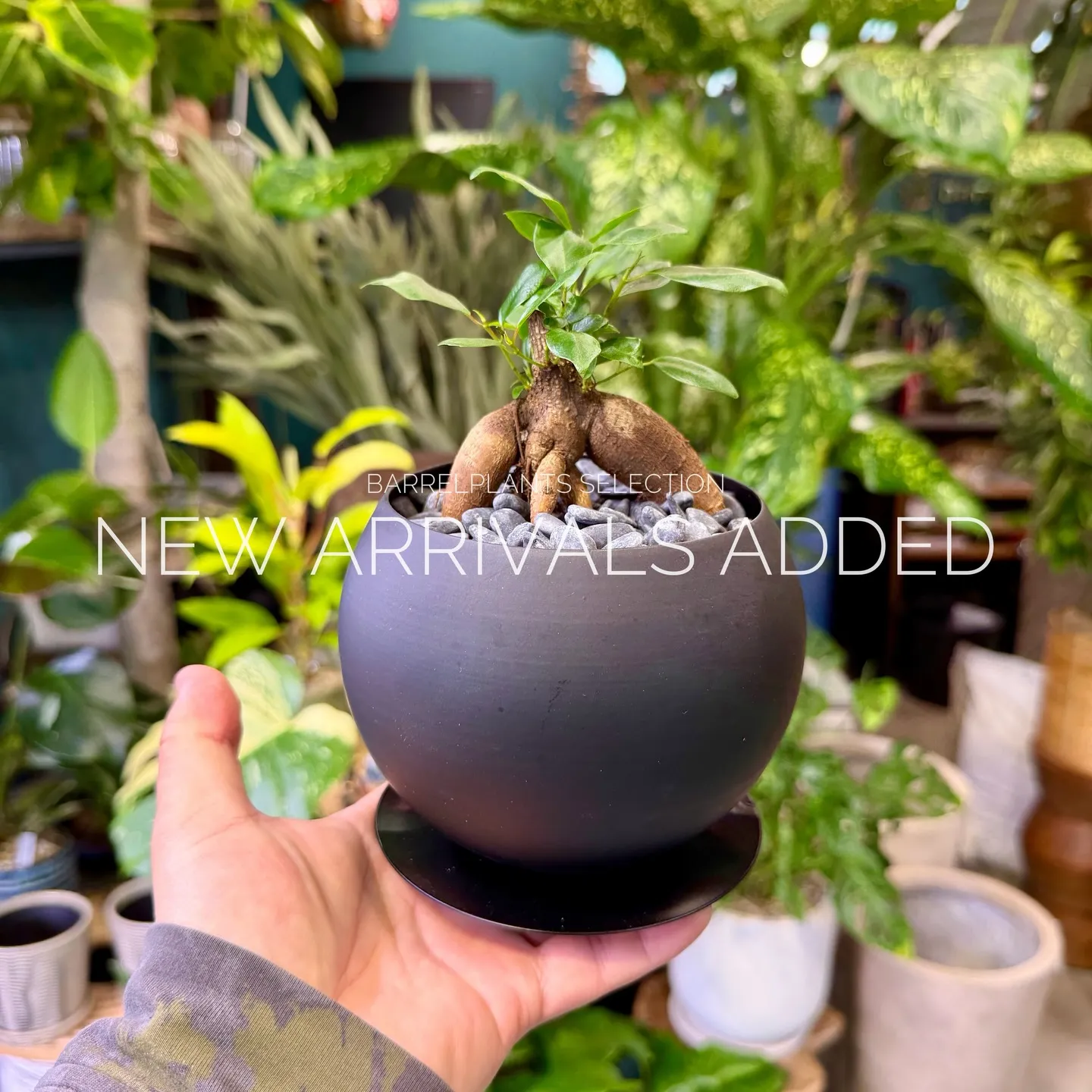 【本日も新作アイテム、続々追加中。