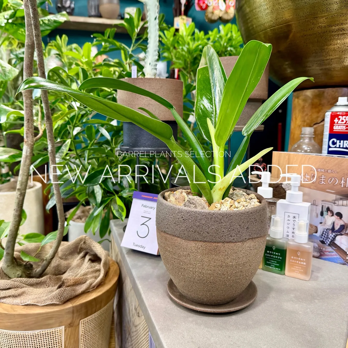 【本日も新作アイテム、続々追加中。