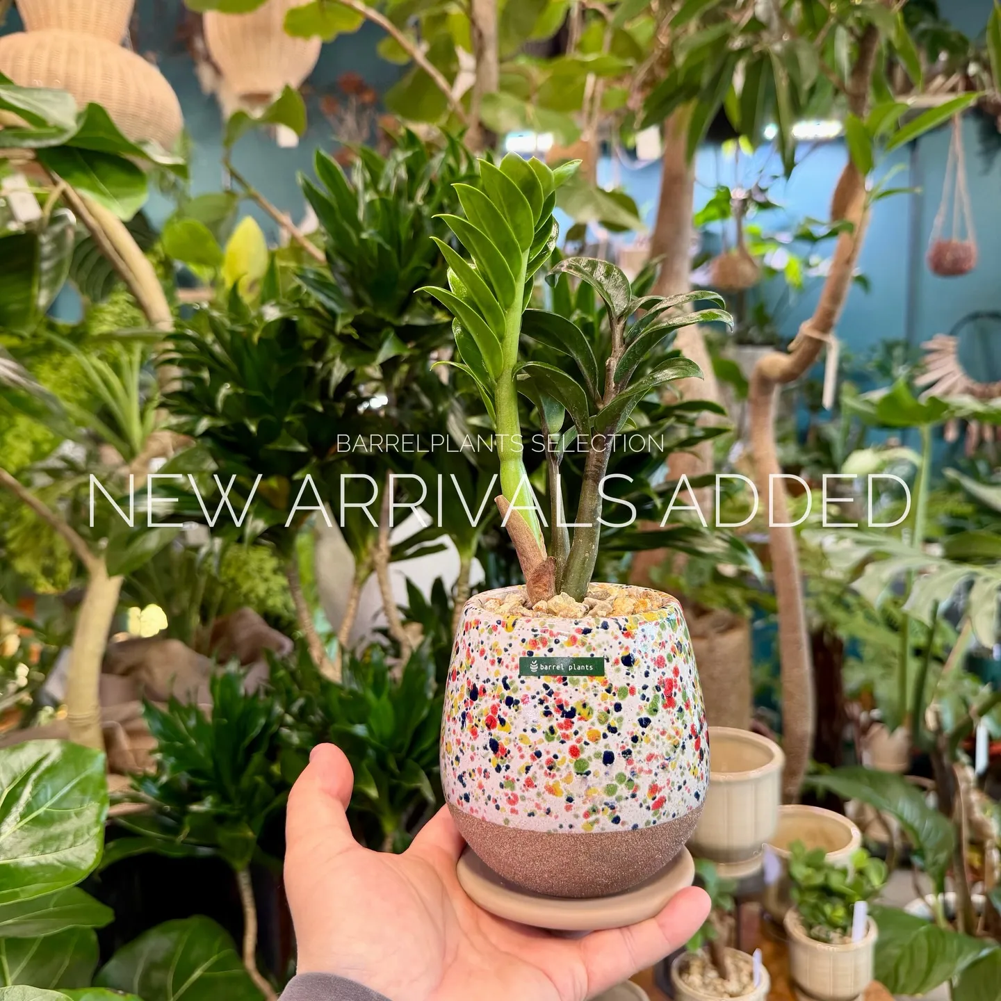 【本日も新作アイテム、続々追加中。