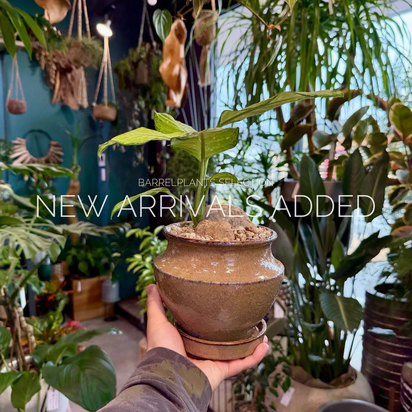 【本日も新作アイテム、続々追加中。