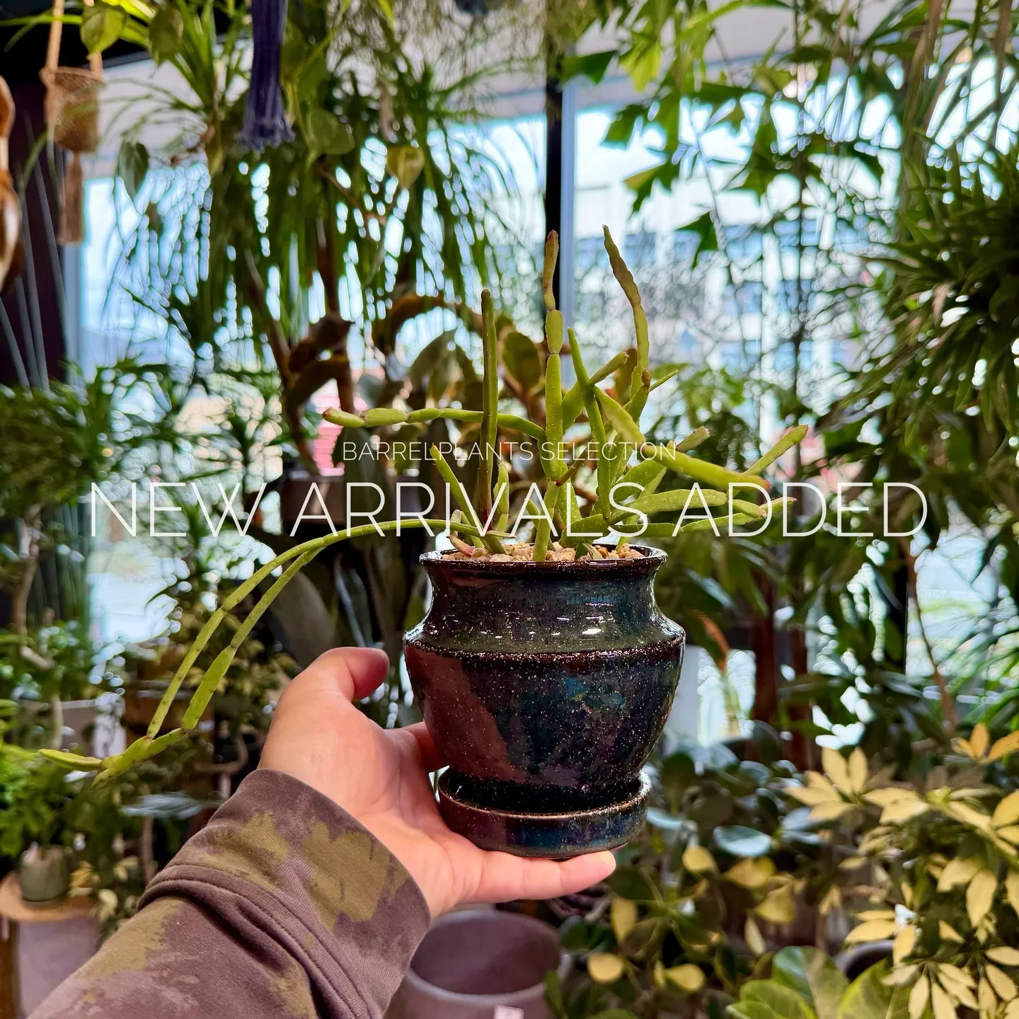 【本日も新作アイテム、続々追加中。