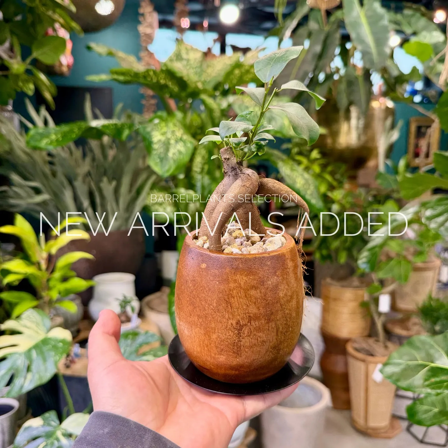 【本日も新作アイテム、続々追加中。