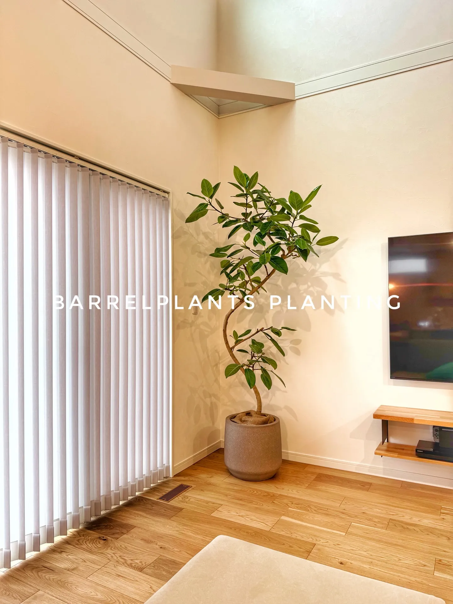 「ご来店＆ご購入のお客様スナップ」