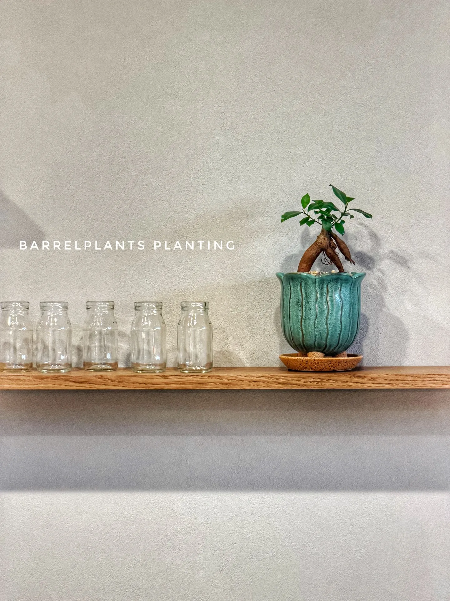 「ご来店＆ご購入のお客様スナップ」