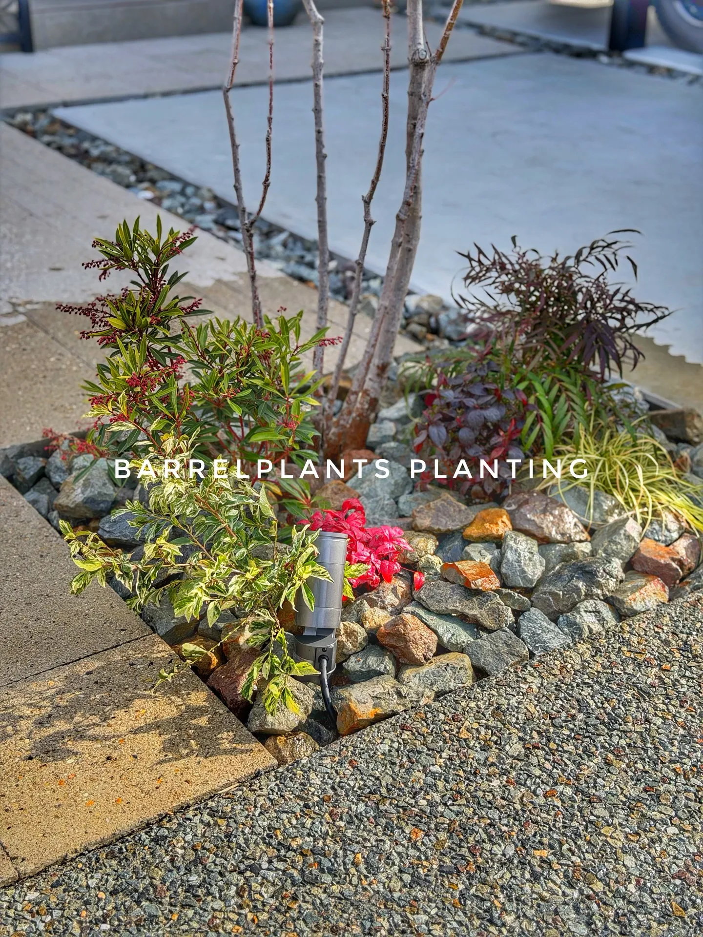 「ご来店＆ご購入のお客様スナップ」