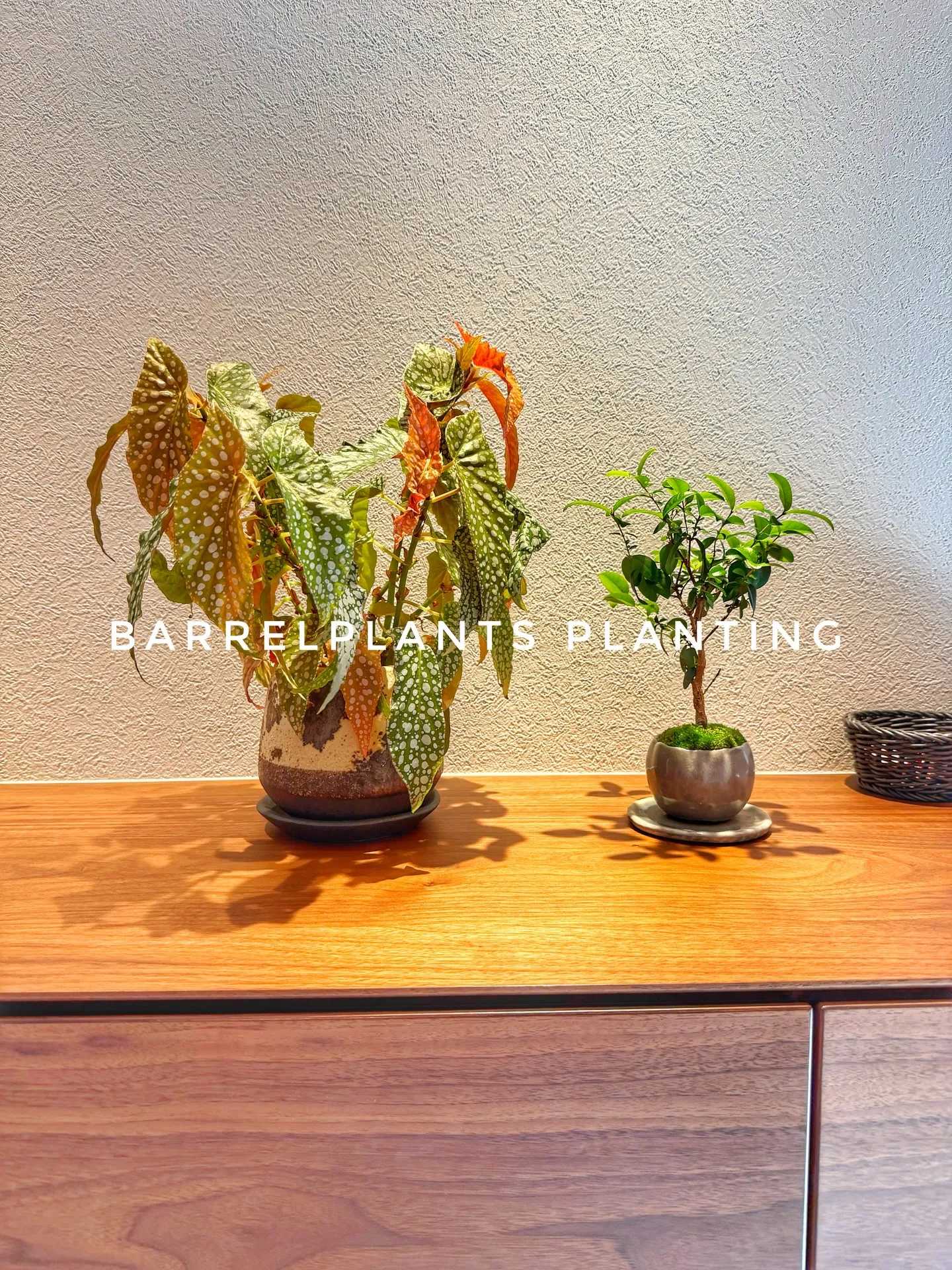 「ご来店＆ご購入のお客様スナップ」