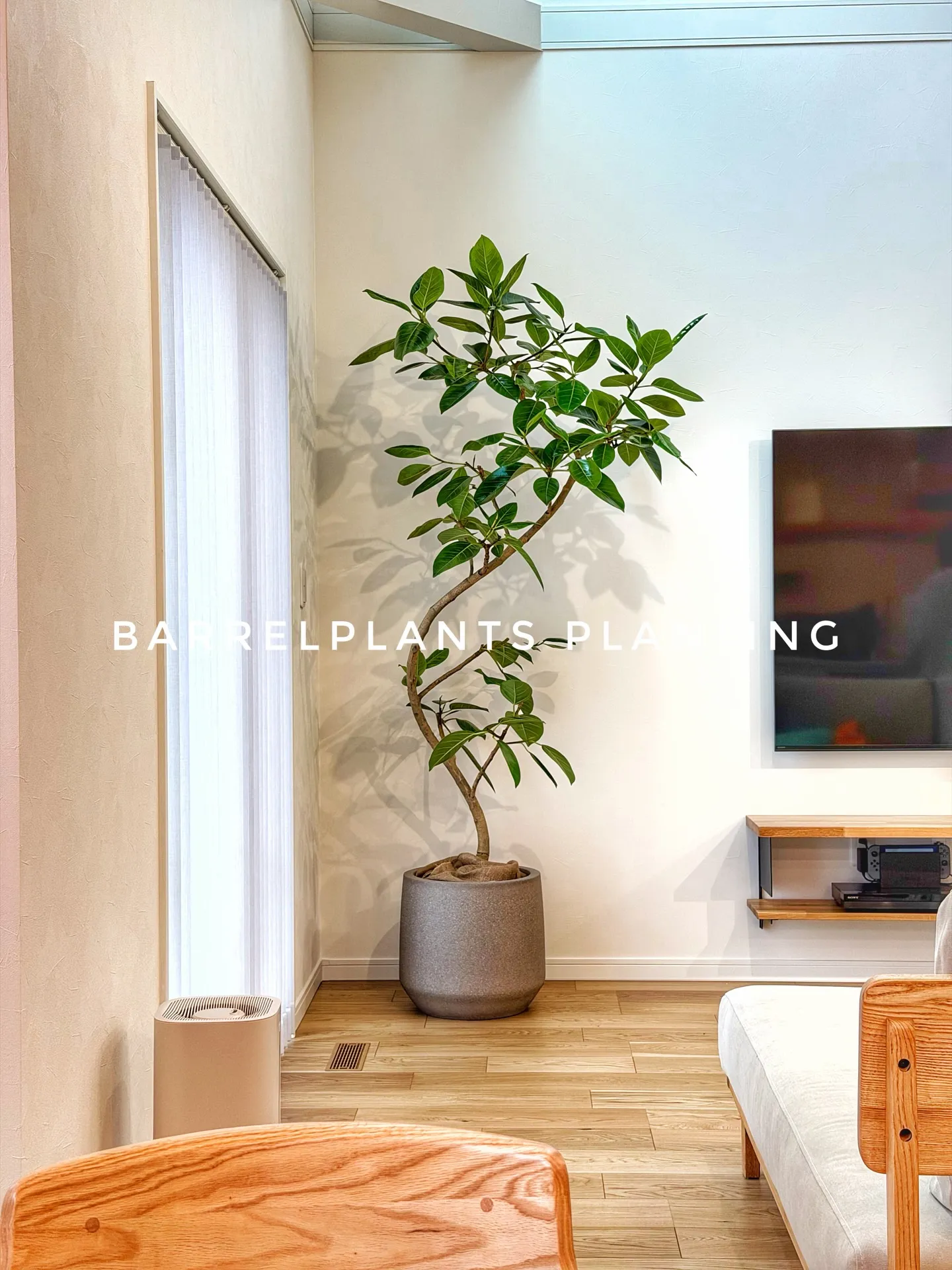 「ご来店＆ご購入のお客様スナップ」